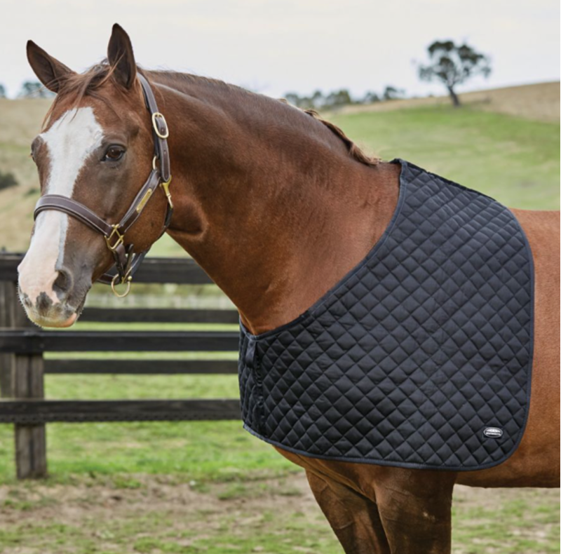 Weatherbeeta Deluxe Shoulder guard Black-1